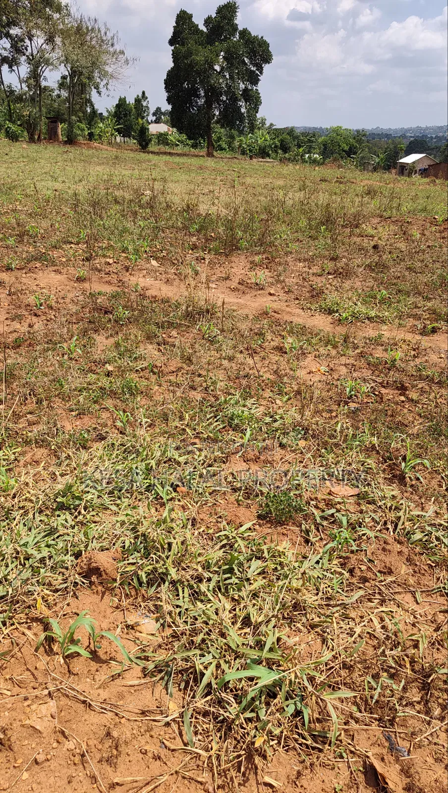 Good Titled 75 Decimals for Sale at Kabonge Touching Main Road At
