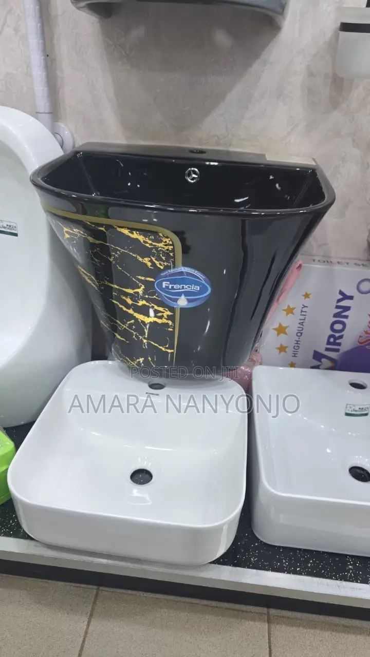 Luxury Toilet and Hand Wash Basin Combo