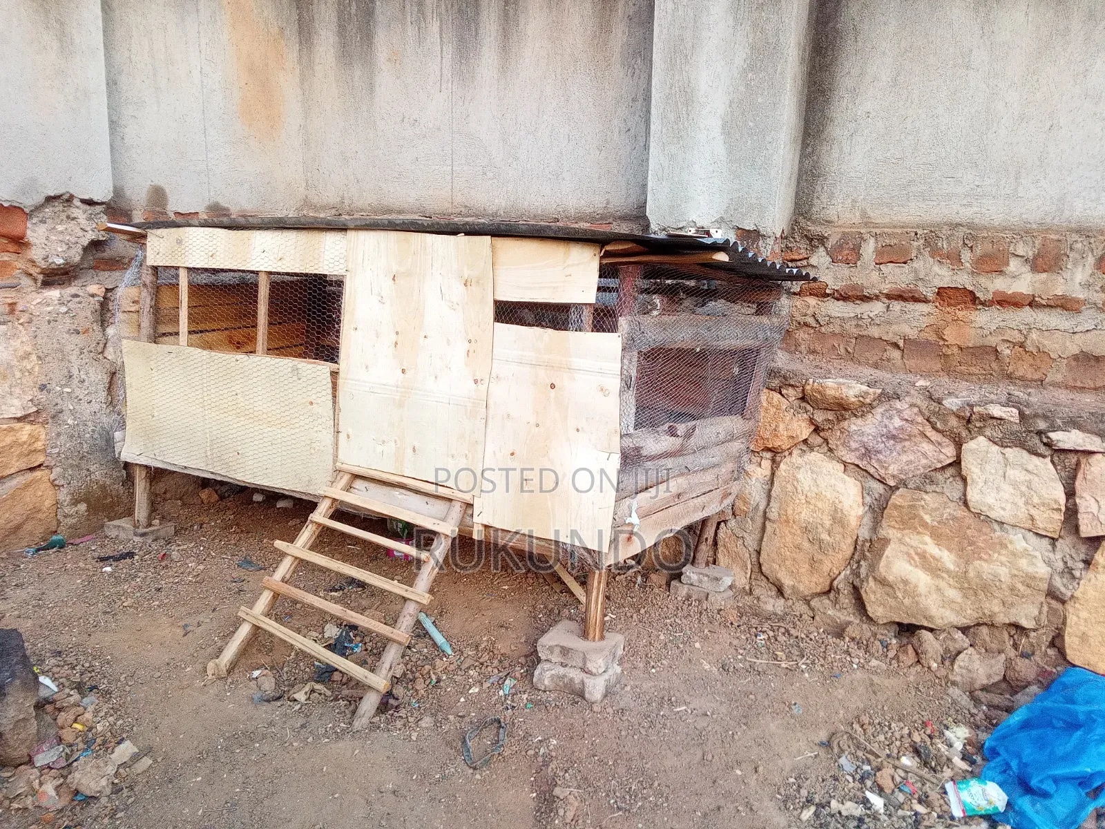 Poultry House Making