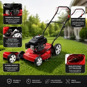Sali Petrol-Powered Walk-Behind Lawn Mower With Grass Catcher