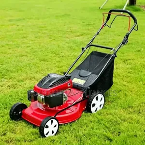 Sali Petrol-Powered Walk-Behind Lawn Mower With Grass Catcher