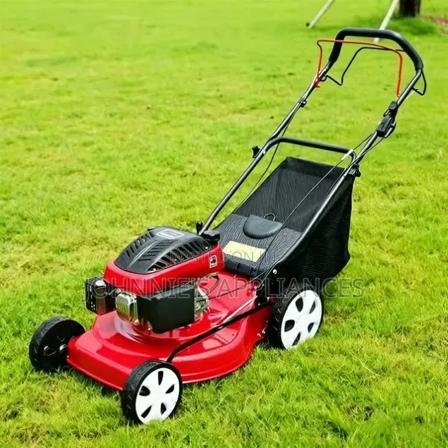 Sali Petrol-Powered Walk-Behind Lawn Mower With Grass Catcher