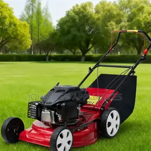 Sali Petrol-Powered Walk-Behind Lawn Mower With Grass Catcher