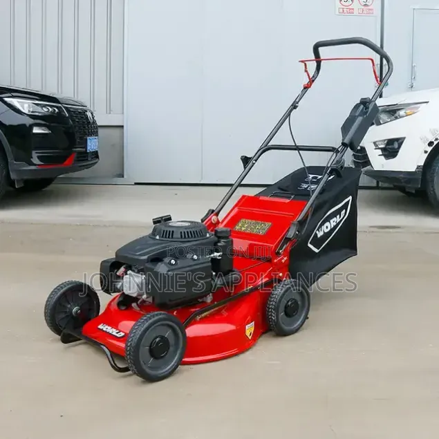 Sali Petrol-Powered Walk-Behind Lawn Mower With Grass Catcher