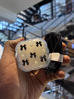 Charger Protector