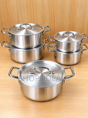 5pcs Stainless Pans With Covers