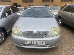 Toyota Corolla Fielder 2009 Silver