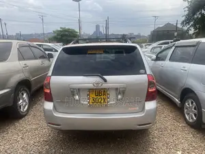 Toyota Corolla Fielder 2009 Silver
