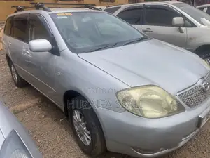 Toyota Corolla Fielder 2009 Silver