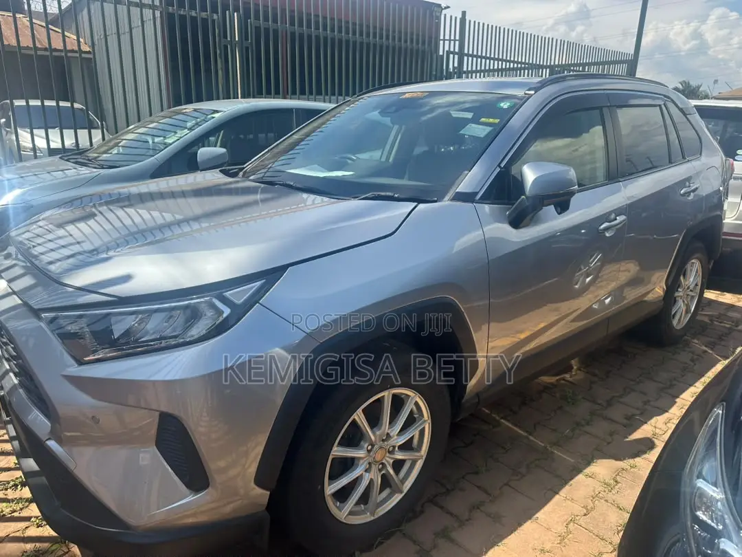 Toyota RAV4 2019 Silver