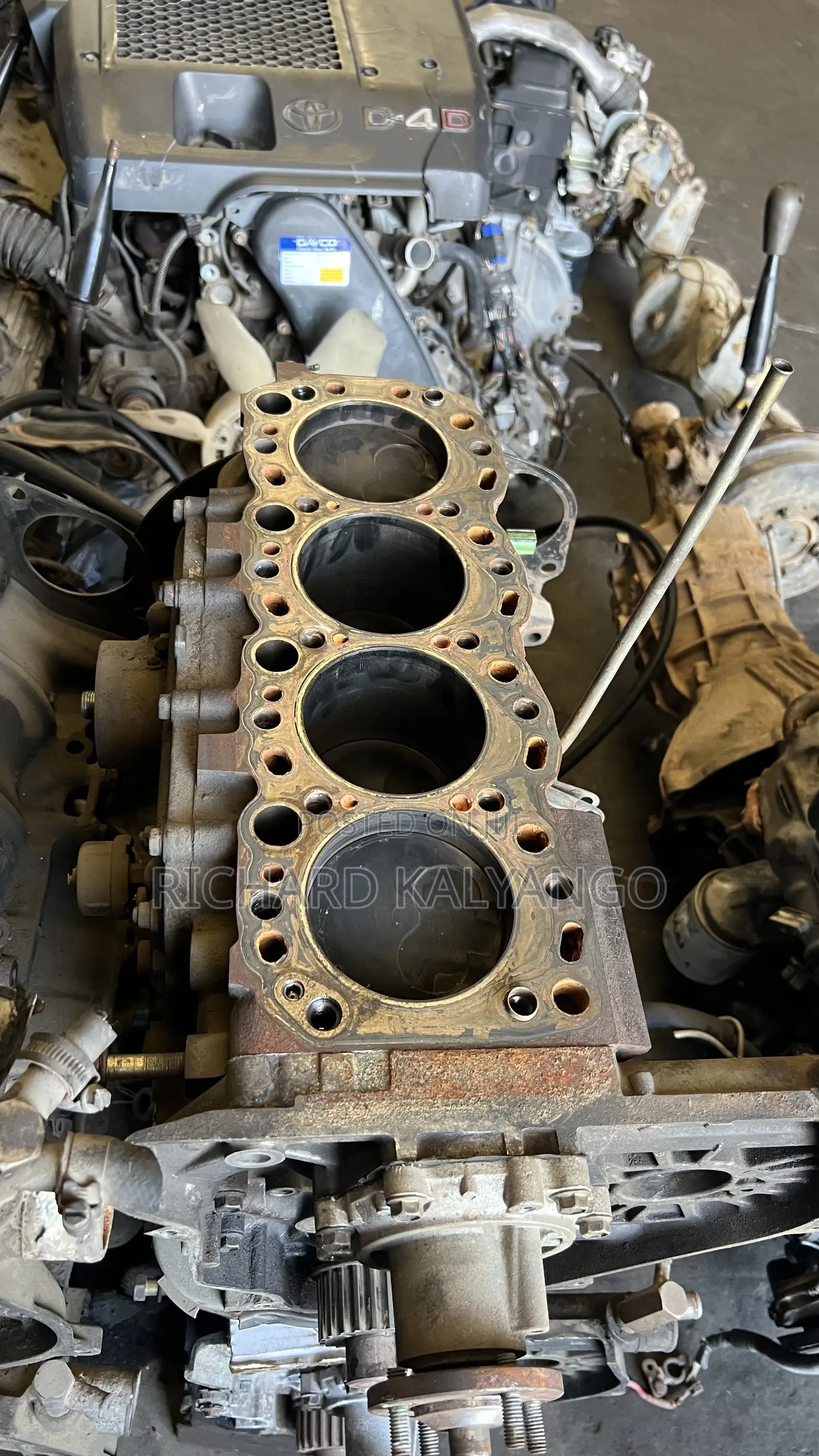 Cylinder Head