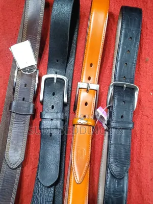 Fashionista Leather Belts