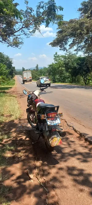 Bajaj CT 125X 2024 Red