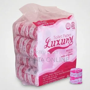 Luxury Toilet Paper 2-Ply Rolls (Pack of 24) – Soft, Tissue Rolls