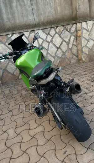 Kawasaki Ninja 1000 2014 Green