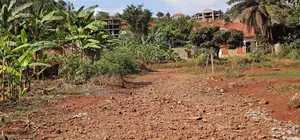  Quick Sale – Kitende Ssekiwunga