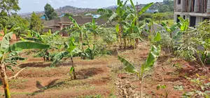  Land for Sale – Luwelo