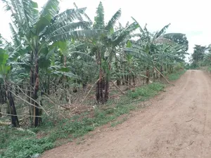 3 Plot for Sell Gayaza Kiwenda Luwunga at 55m All
