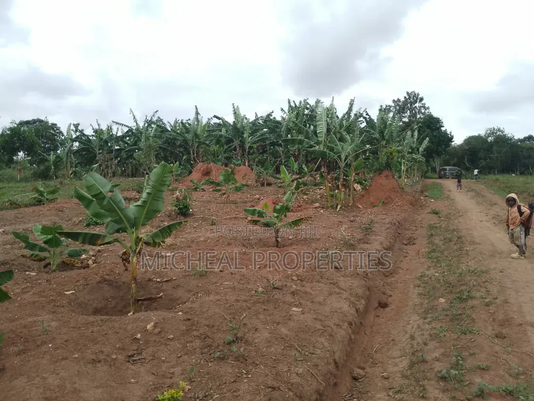 3 Plot for Sell Gayaza Kiwenda Luwunga at 55m All
