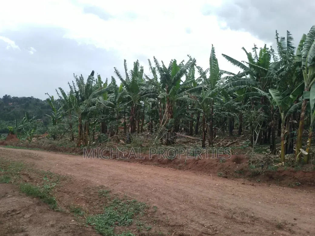 3 Plot for Sell Gayaza Kiwenda Luwunga at 55m All