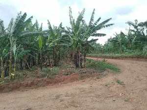 3 Plot for Sell Gayaza Kiwenda Luwunga at 55m All