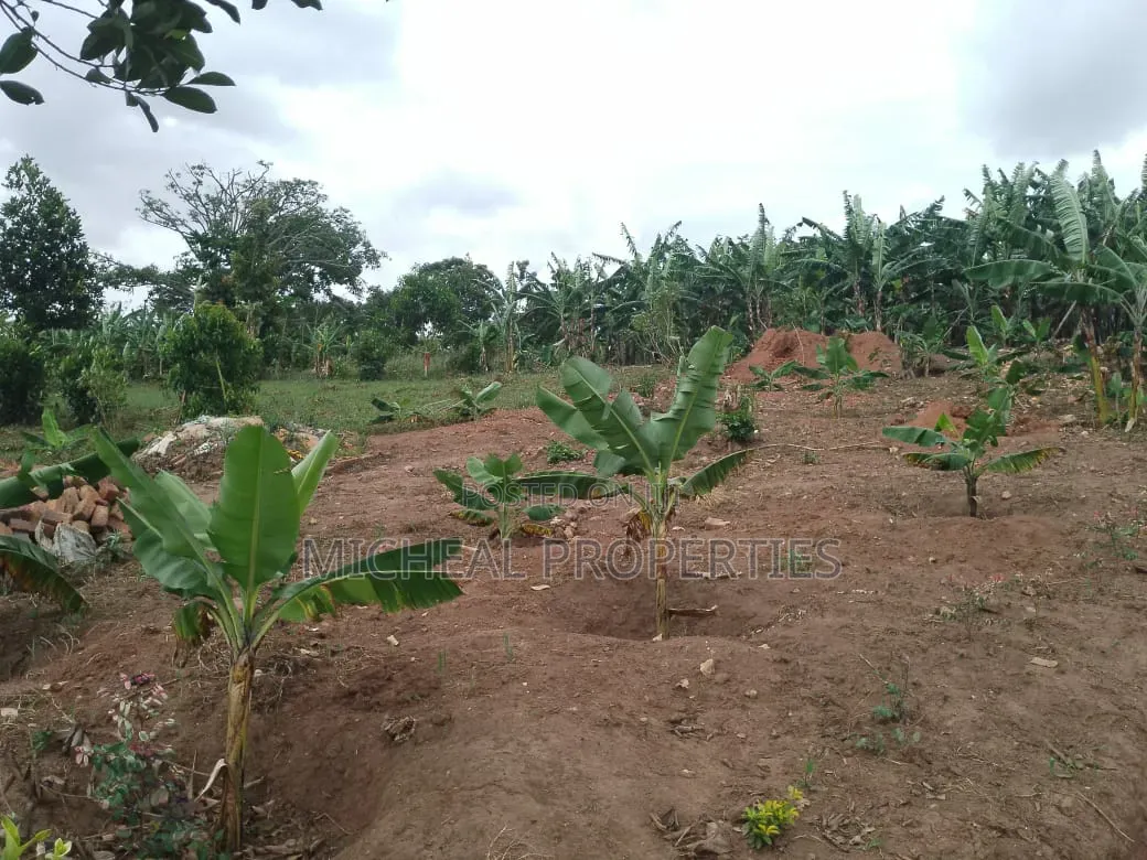 3 Plot for Sell Gayaza Kiwenda Luwunga at 55m All