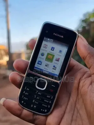 Nokia C2-01 Gray
