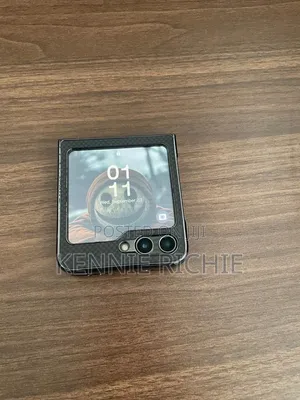 Samsung Galaxy Z Flip5 256 GB Gray