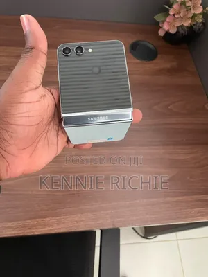 Samsung Galaxy Z Flip5 256 GB Gray