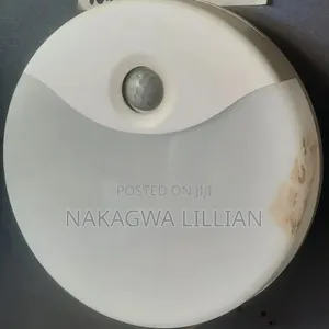 Sensor Light