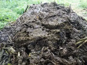 Cow Manure