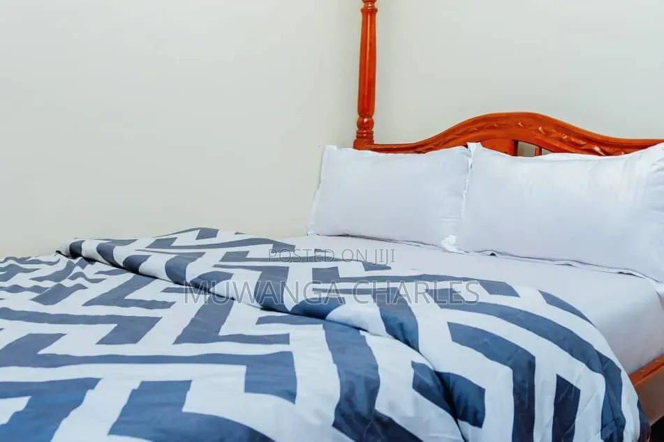 Furnished 2bdrm Apartment in Fs Properties Ltd, Nakawa for rent