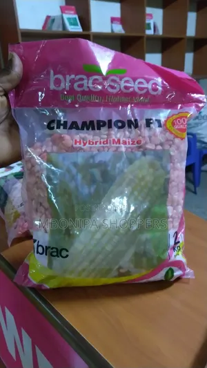 Hybrid Maize - Champion F1