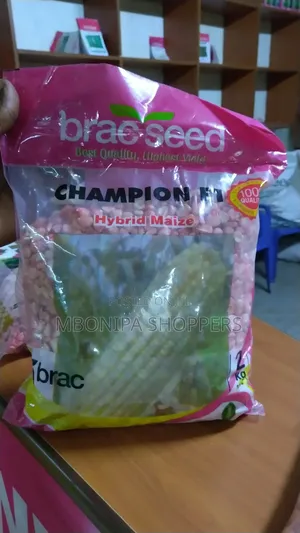 Hybrid Maize - Champion F1