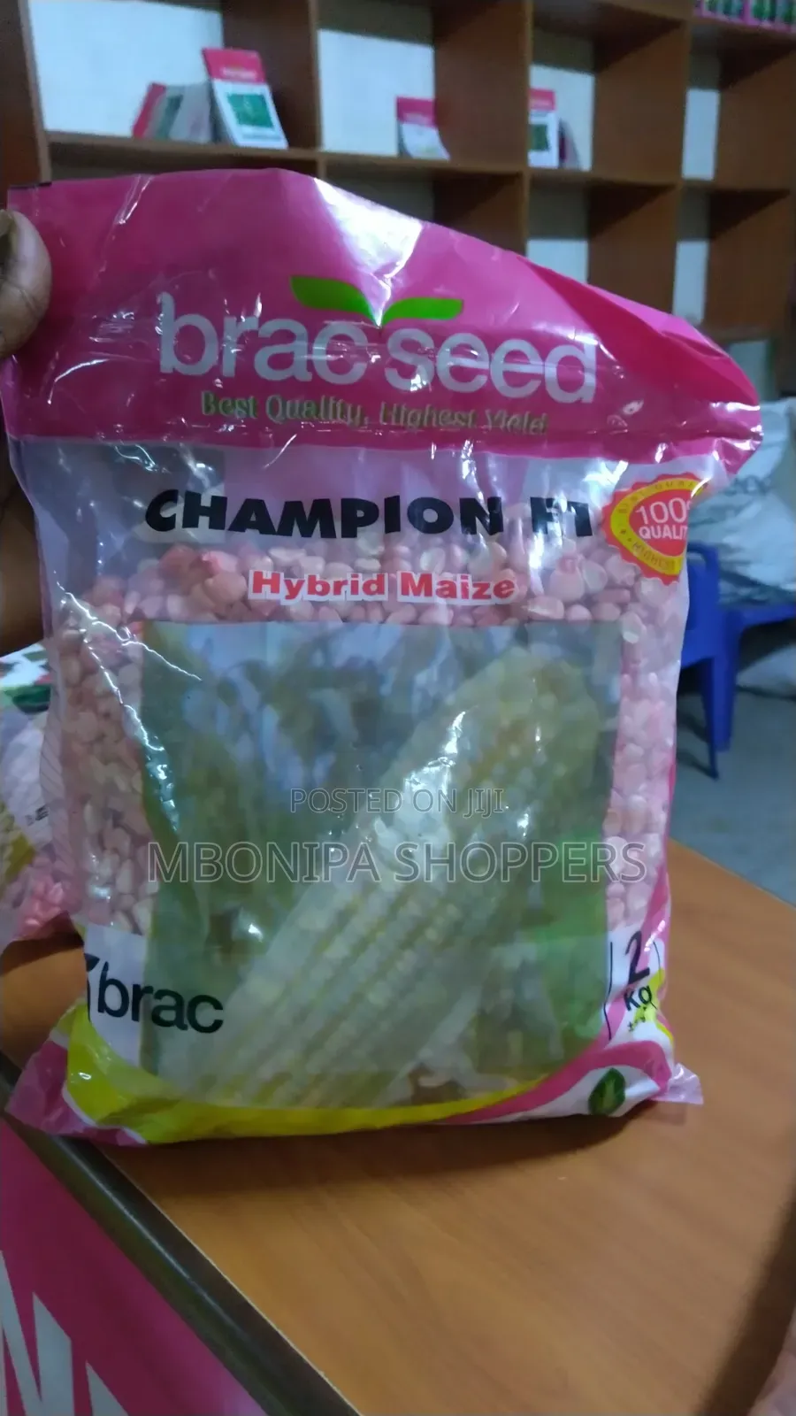 Hybrid Maize - Champion F1