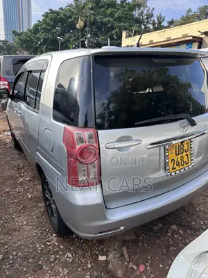 Toyota Raum 2009 Gray