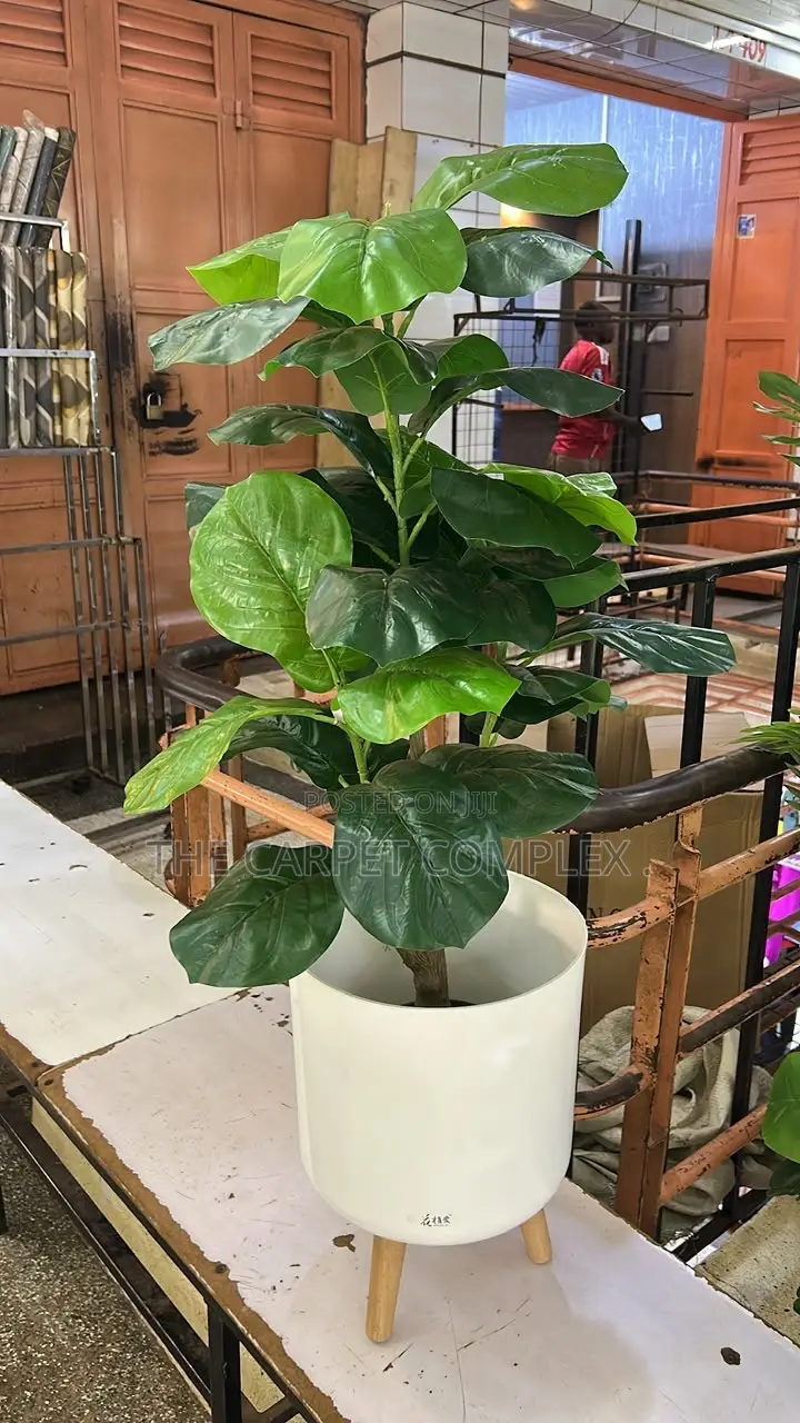 Home Plants and Flowers Only