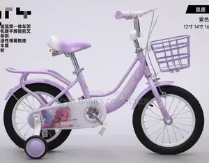 Purple Kids Bicycle 4-8yrs