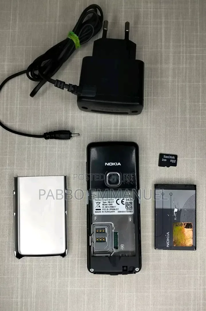 Nokia 6300 Silver