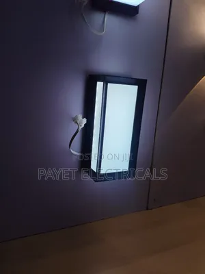 Led Outdoor /Indoor Wall Lamp