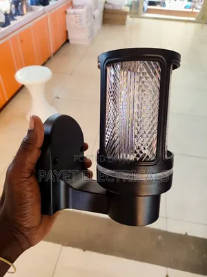Outdoor Security Wall Lamp