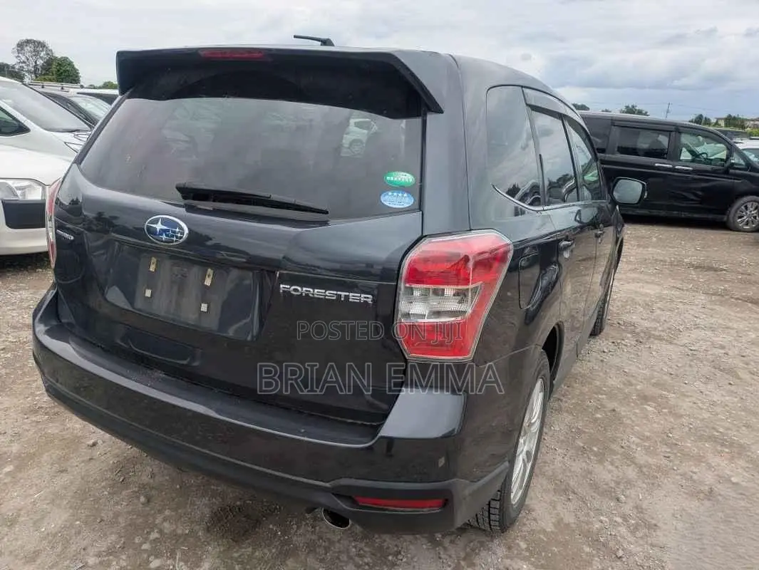 Subaru Forester 2013 Gray