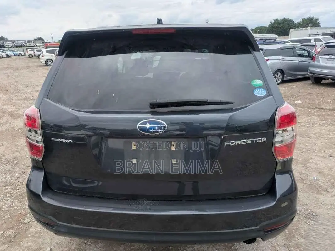 Subaru Forester 2013 Gray