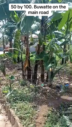 Commercial Plot of Land for Sale