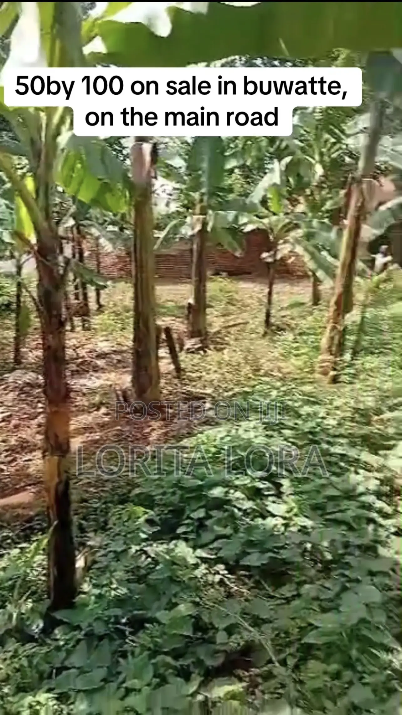 Commercial Plot of Land for Sale