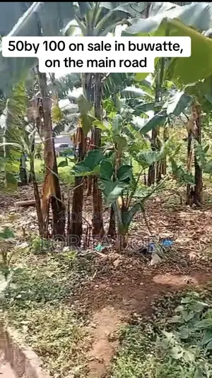 Commercial Plot of Land for Sale
