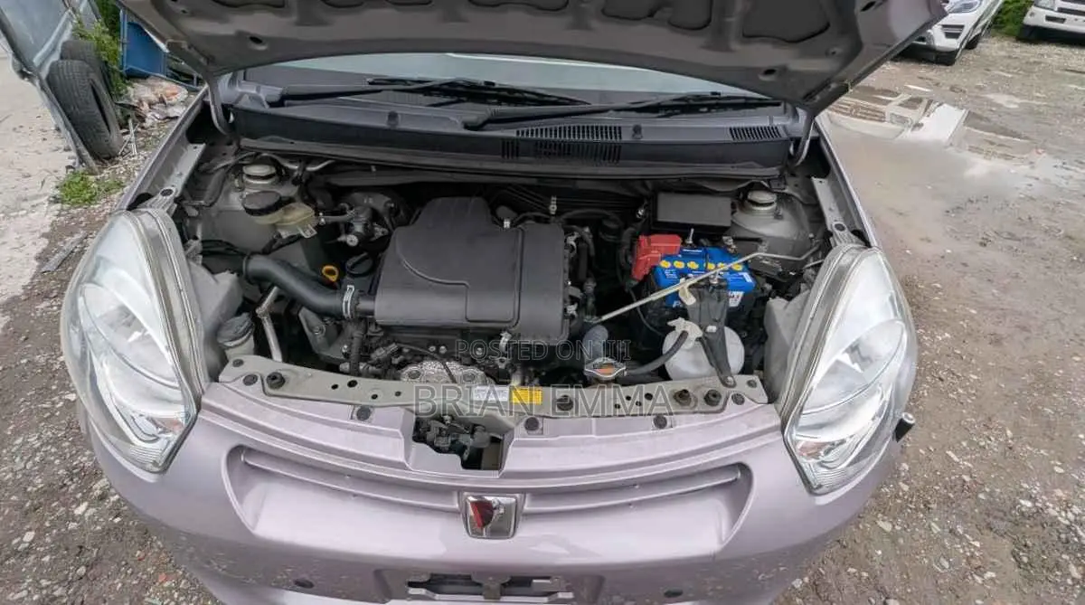 Toyota Passo 2012