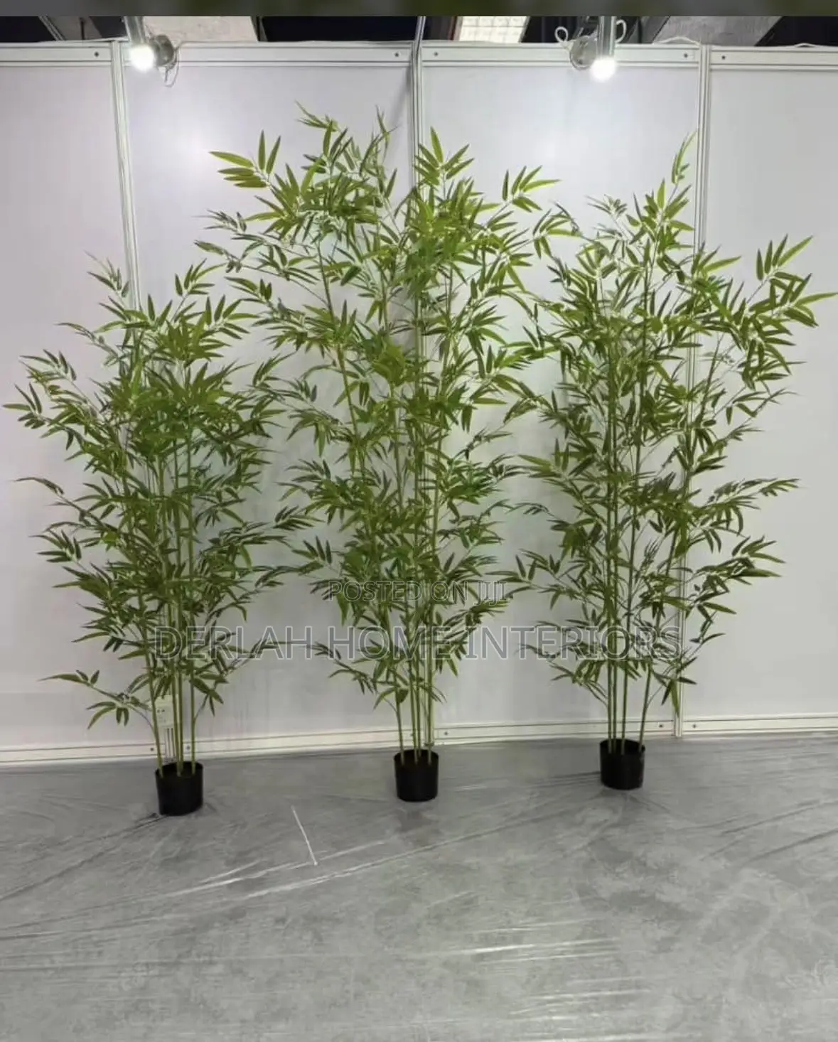 Plants and Flowers ( Bamboo)