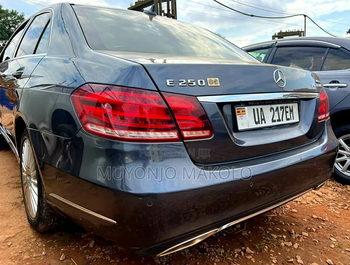 Mercedes-Benz E250 SV Premium 2014 Gray