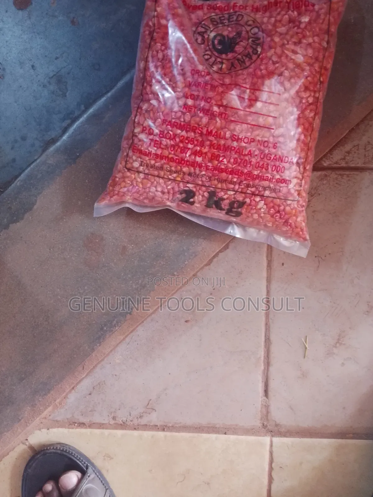 Hybrid Maize Seeds and Popcorn Seeds